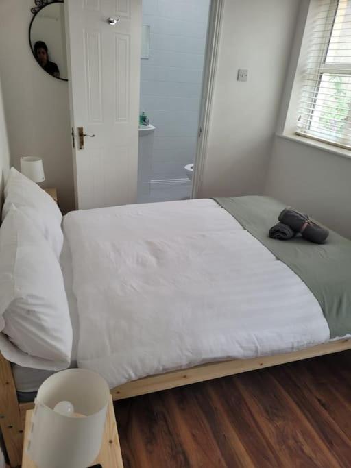 Stylish 4 Bedroom Dublin House Екстериор снимка